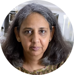 Prof. Dr. Gaiti Hassan